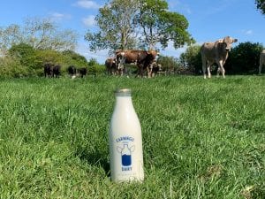 Non Homogenised Milk From Midoa