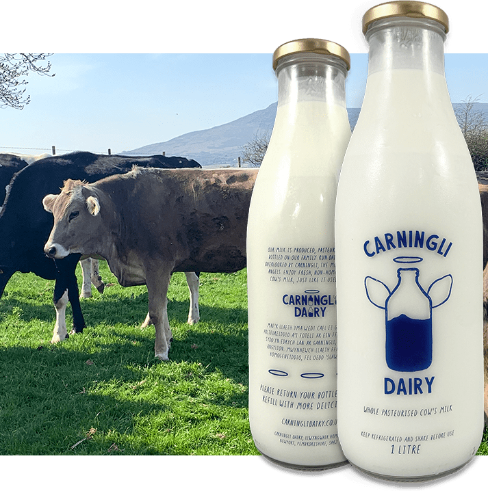 Midoa Farm Fresh Pembrokeshire Milk